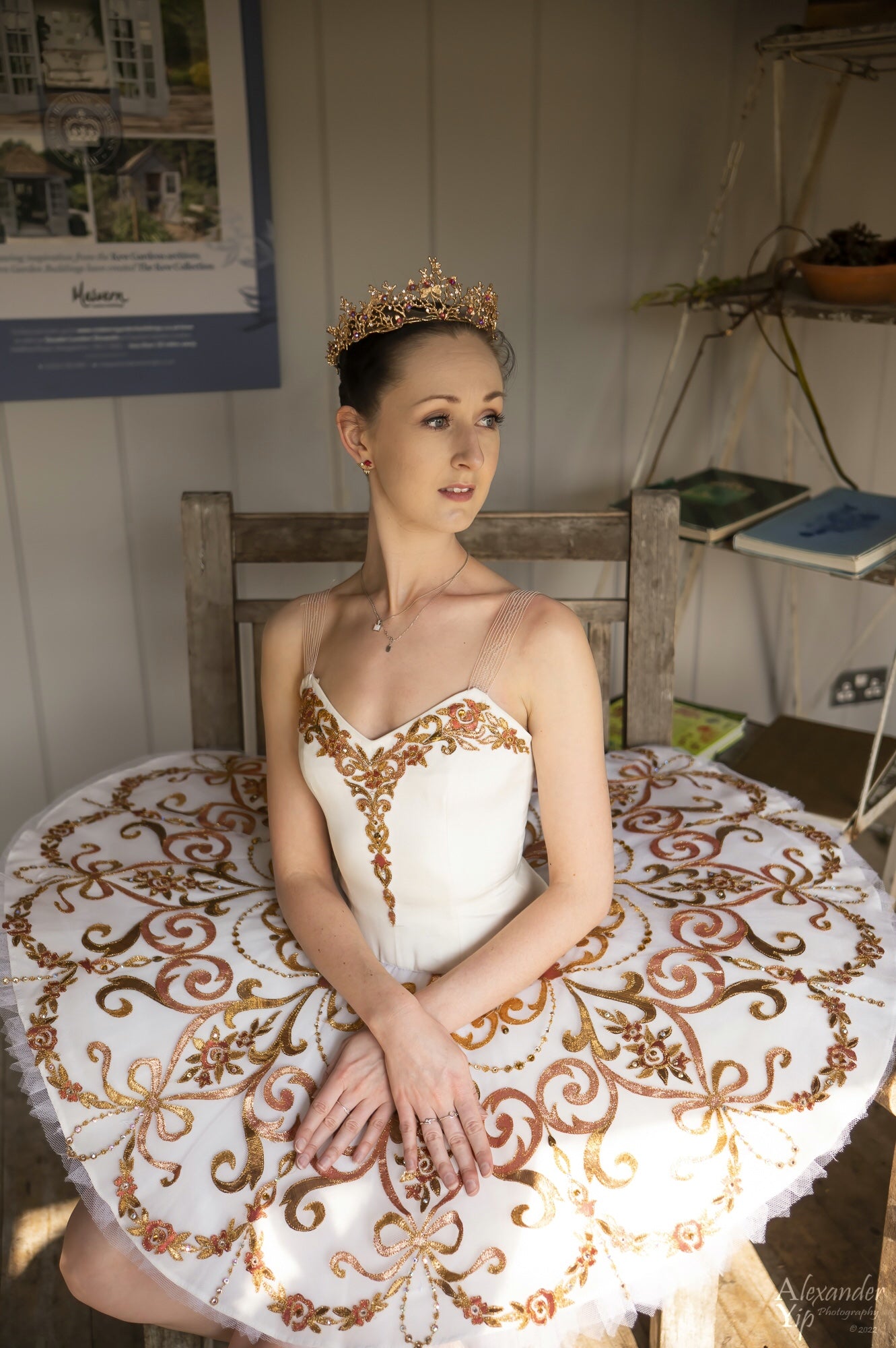 Paquita or Kitri Golden tutu - Hire only