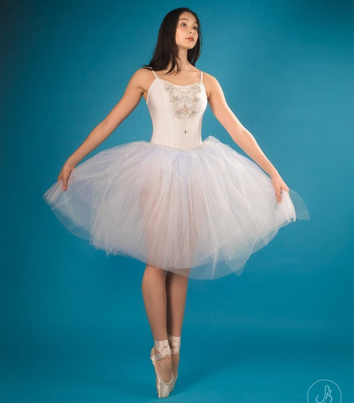 Romantic tutu dress Snowflake or Snow Queen- Hire only