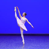 Just Ballet velvet Lilac tutu - Hire Only