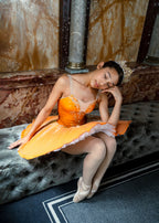 Sleeping Beauty Breadcrumb Fairy - Hire only