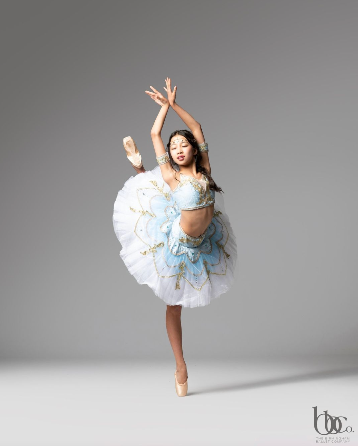 Professional two piece light blue tutu - Hire only