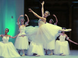 Giselle romantic tutus - HIRE ONLY
