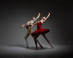 Espada Don Quixote Bolshoi costume - Hire Only