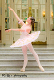 Just Ballet Anabelle tutu - Hire only