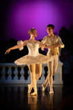 Classical tutu for Grand Pas Classique, Dulcinea, Aurora - Hire Only