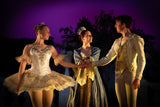 Classical tutu for Grand Pas Classique, Dulcinea, Aurora - Hire Only