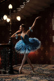 Just Ballet Light Bluebird Professional Tutu - Hire Only