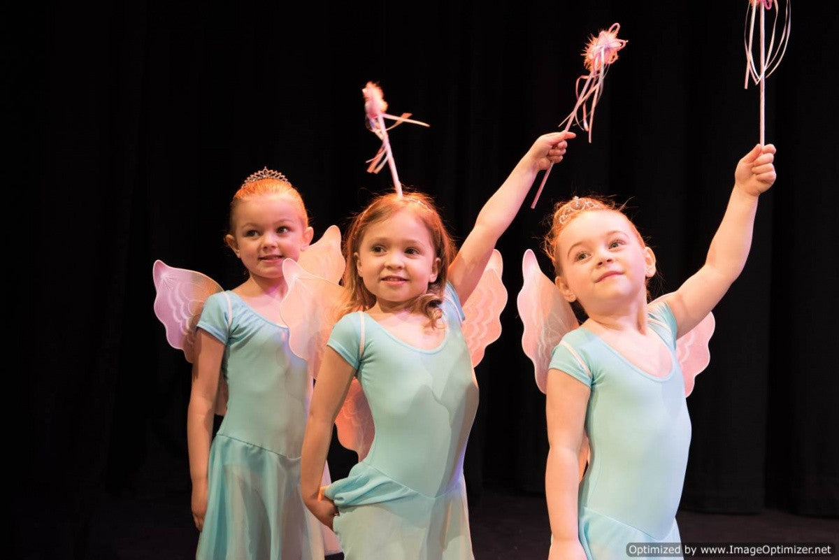 ISTD Skirted leotard - Just Ballet