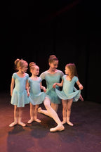 ISTD Skirted leotard - Just Ballet