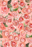 JB X Degas Exclusive - 9634 Peach Rose Print