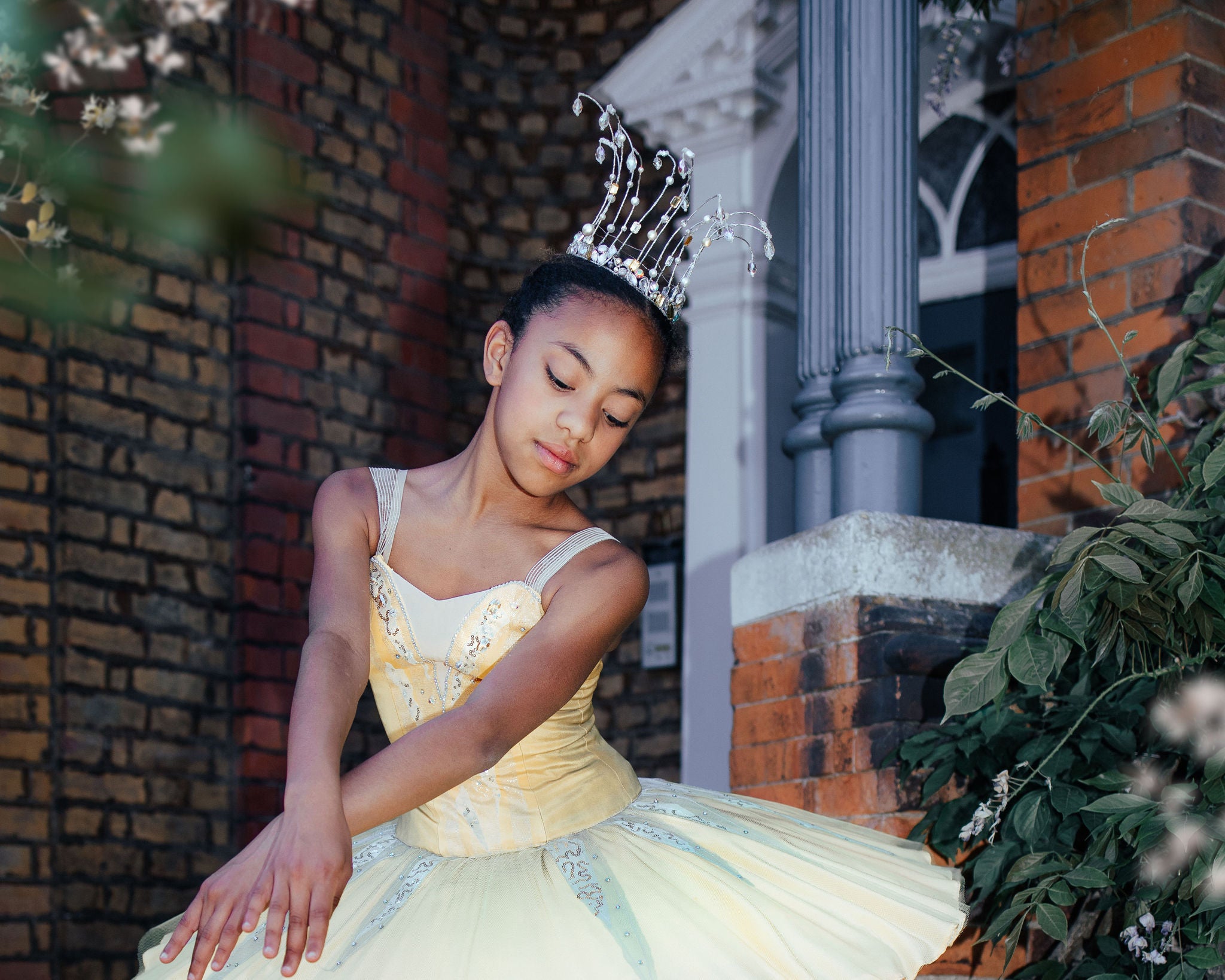 Sleeping Beauty Canary or Songbird Fairy  - Hire only