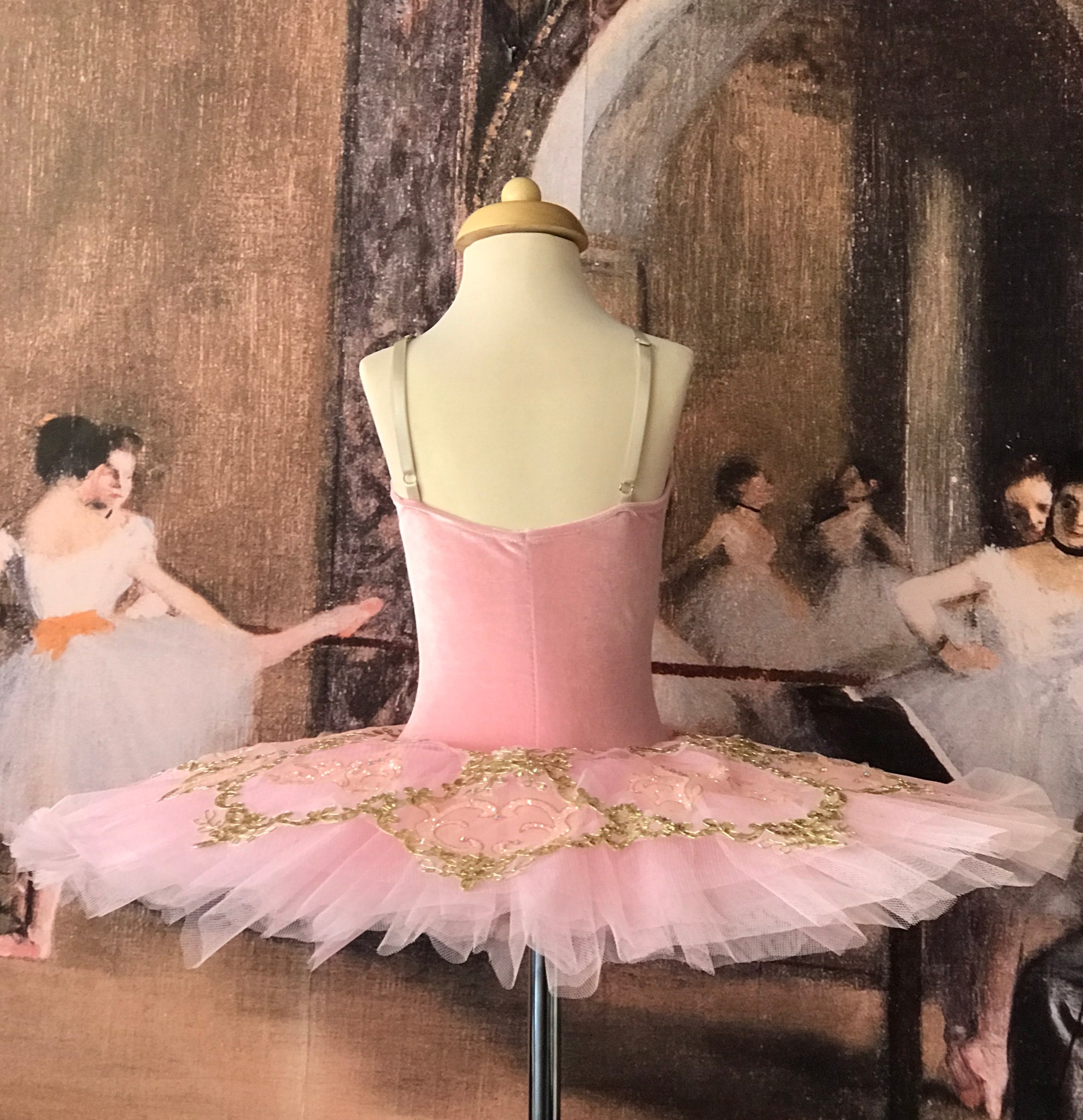 Premium Vector  Vector image of a childrens ballet tutu dress