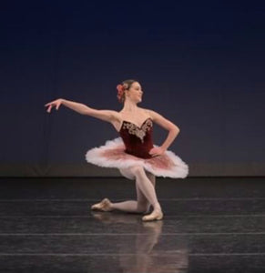 Burgundy and gold Raymonda tutu - Hire only