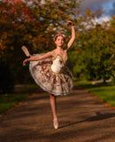 Just Ballet Autumnal tutu - hire only