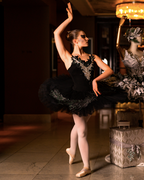Odile tutu - Hire only
