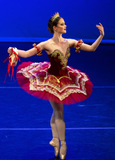Just Ballet Spanish style Don Quixote tutu - Hire only
