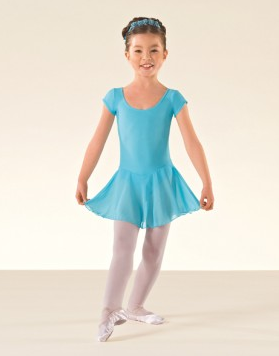 ISTD Skirted leotard - Just Ballet