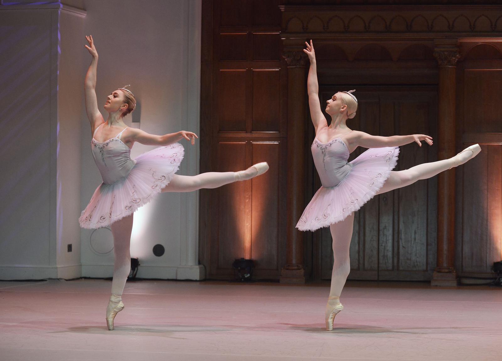 La Bayadere Pas D'Action Tutu - Hire only