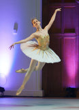 Sleeping Beauty Jewels Golden Tutu  - Hire only