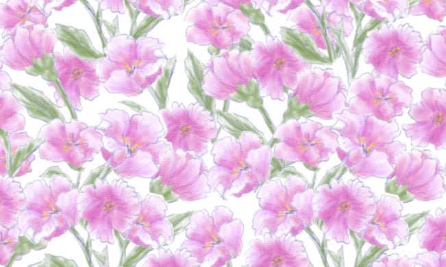 JB X Degas Exclusive - 9634 Joy Print