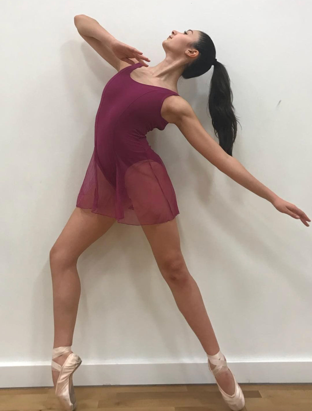 Degas leotard with mesh overskirt 2604