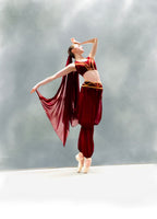La Bayadere Nikiya Arabian Middle Eastern Costume - Hire only